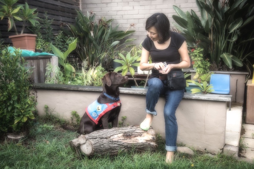 Assistance Dog puppy Kora with trainer