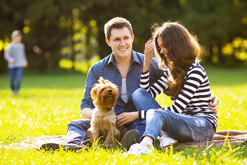 Couple in park with dog