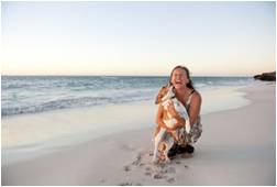 Dog At The Beach