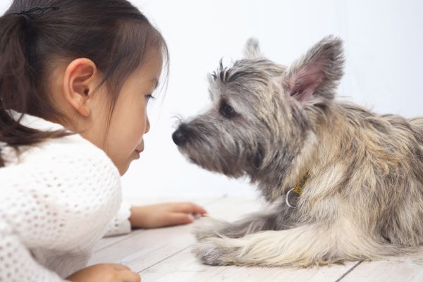 Japanese girl and dog