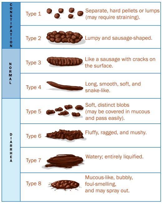 faecal scoring system in dogs