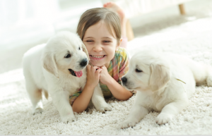 Little girl playing with puppies