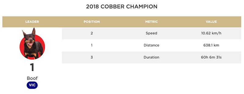 cobber-boof-leaderboard