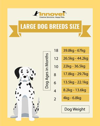 Dog Growth Chart - Large Size Dogs, Examples of the Large Breed include: German Shepherd, Golden Retriever, Rottweiler, Doberman Pinscher, Collie, Rhodesian Ridgeback, Akita, Bloodhound, Bullmastiff, Alaskan Malamute, Dalmataian, Old English Sheepdog, Irish Setter, Afghan Hound, English Setter