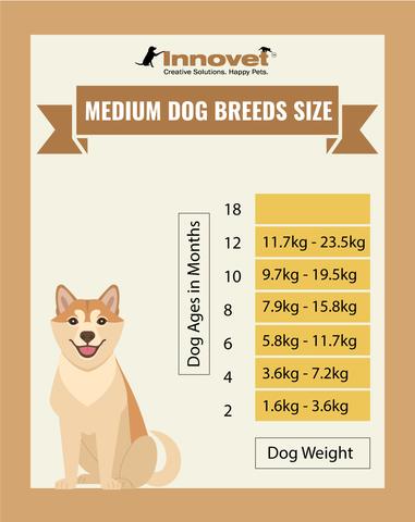 Dog Growth Chart - Medium Size Dogs, Example of the Medium Breed include: Afghan Hound, Airedale Terrier, Australian Cattle, Australian Shepherd, Basenji, Basset Hound, Beagle, Border Collie, Boxer, Chow Chow, Cocker Spaniel, English Bulldog, English Pointer, German Pinscher, Keeshond, Kerry Blue Terrier, Labradoodle, Miniature Bull Terrier, Shetland Sheepdog, Siberian Husky, Skye Terrier, Stafford Bull Terrier, Standard Schnauzer, Whippet