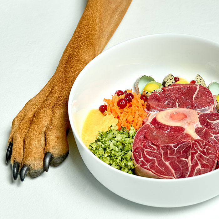 dog with food in bowl dog paws human foods that are good for dogs raw feeding emergency food