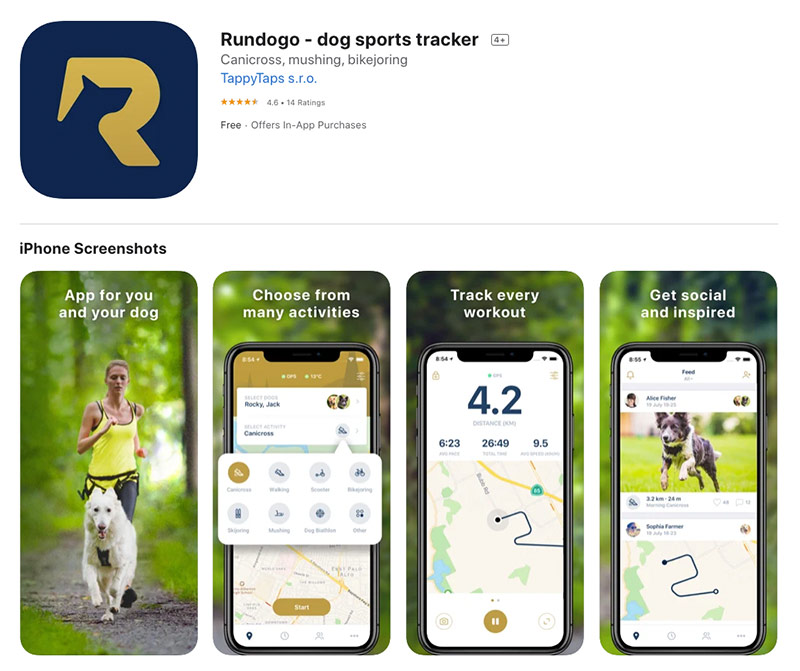 rundogo app