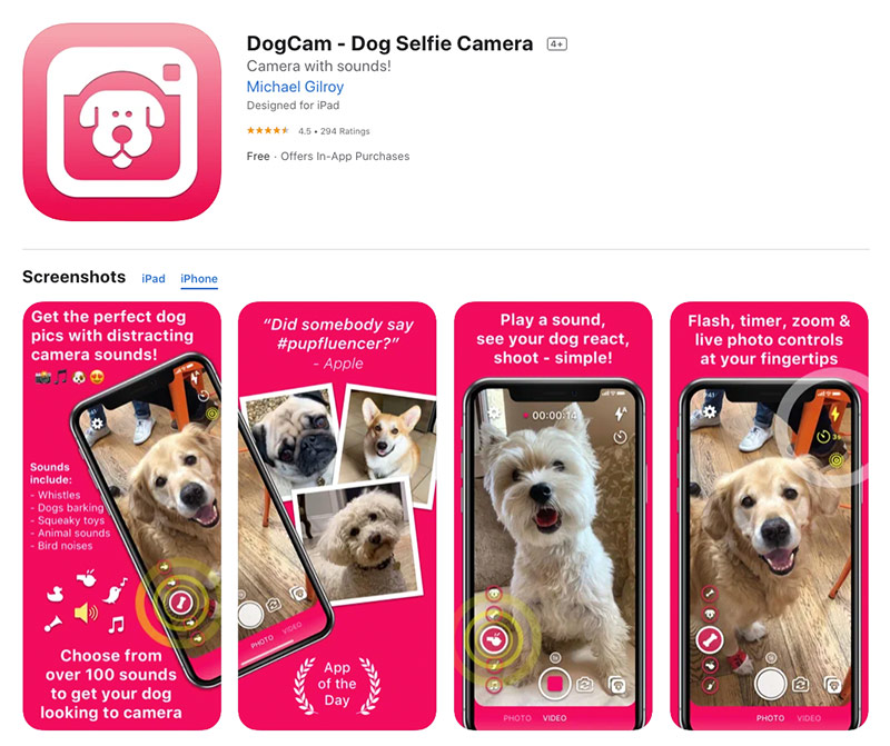 dog cam dog selfie camera app