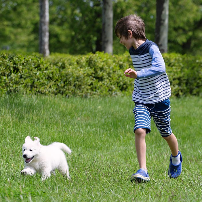 thumbnail Kids running and playing with puppy dog outside_