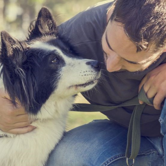 Man with his dog playing outdoor in the park. Young owner hugs his pet.