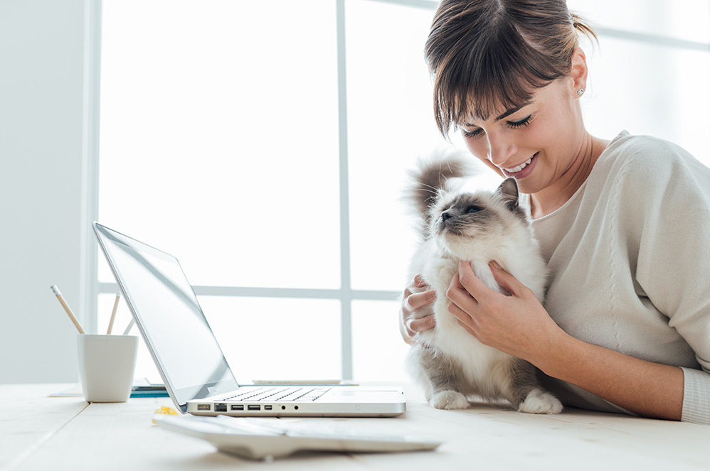 Young woman sitting at desk and cuddling her lovely cat