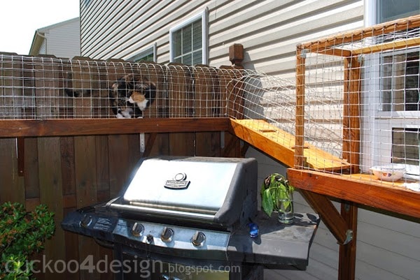 DIY Cat door leading to fence tunnel