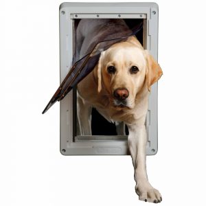 Dog care, Best doggie doors Bow Wow Meow Pet Insurance