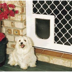 Dog care, Best doggie doors Bow Wow Meow Pet Insurance