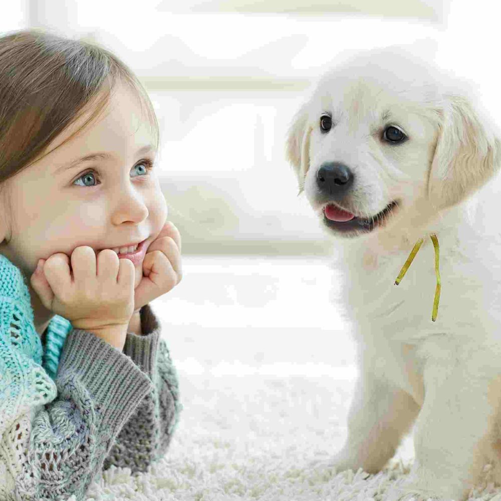 The child with the dog lying on the mat at home