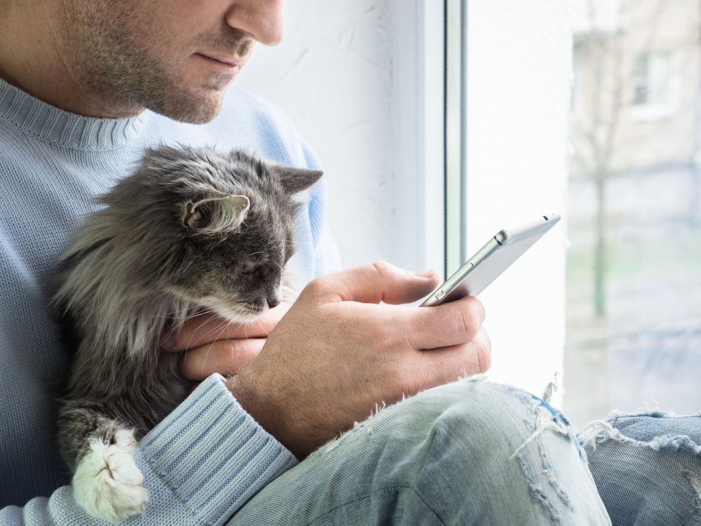 Handsome man with mobile phone an