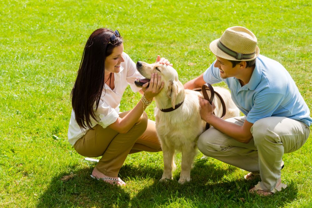 Young happy couple playing with Labrador dog smiling in park