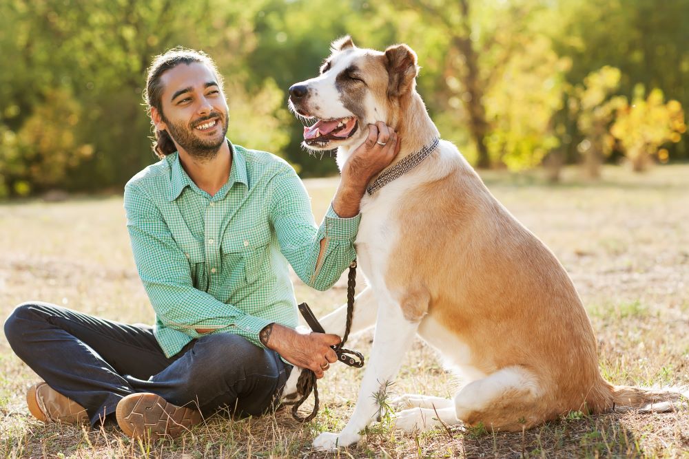 Man and central Asian shepherd walk in the park. He keeps the dog on the leash