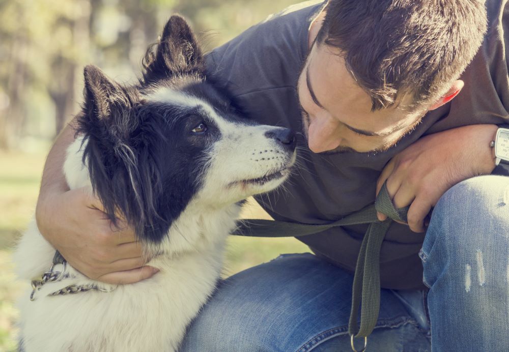 Man with his dog playing outdoor in the park. Young owner hugs his pet.