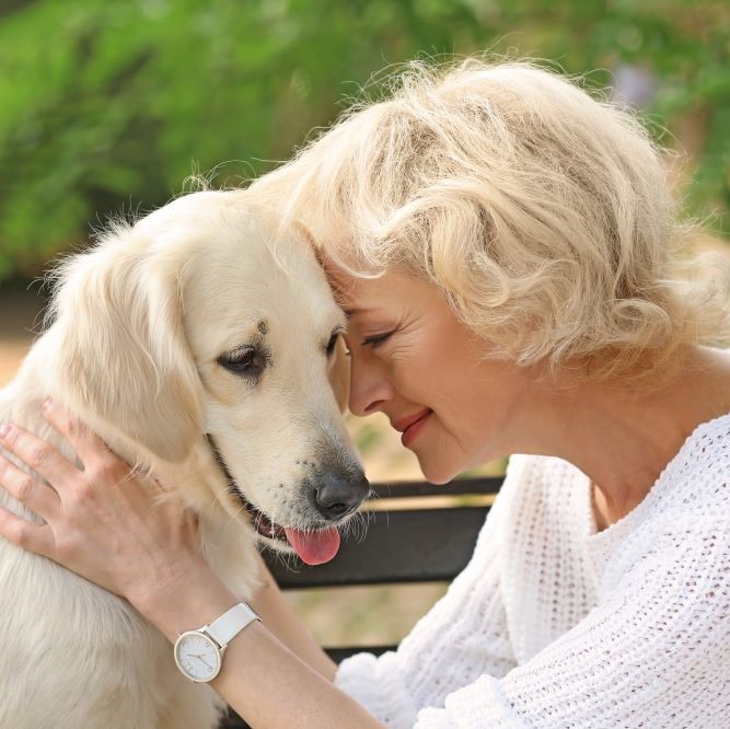 shutterstock_521975146 – thumb Senior woman sitting on bench with dog, closeup (2)