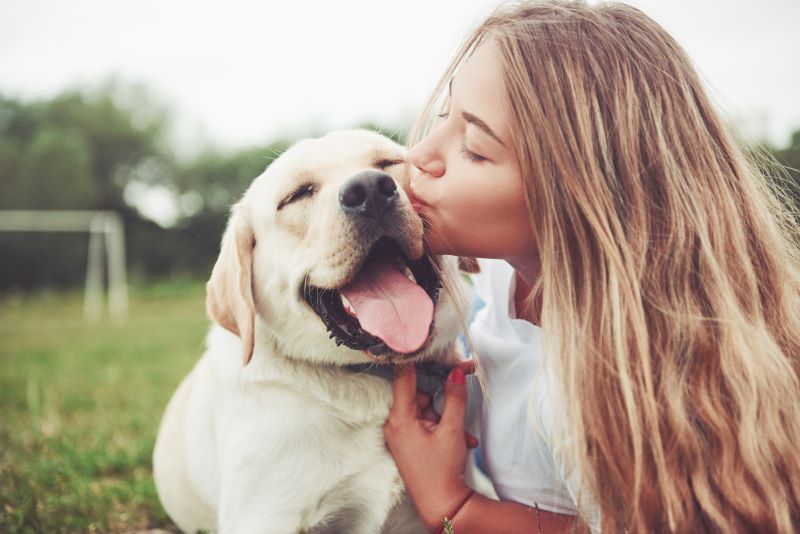 Frame with a beautiful girl with a beautiful dog in a park on green grass