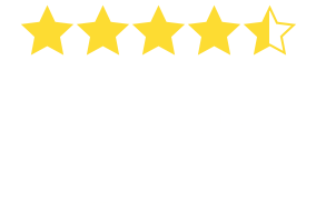 Product Review Bow Wow Meow Pet Insurance