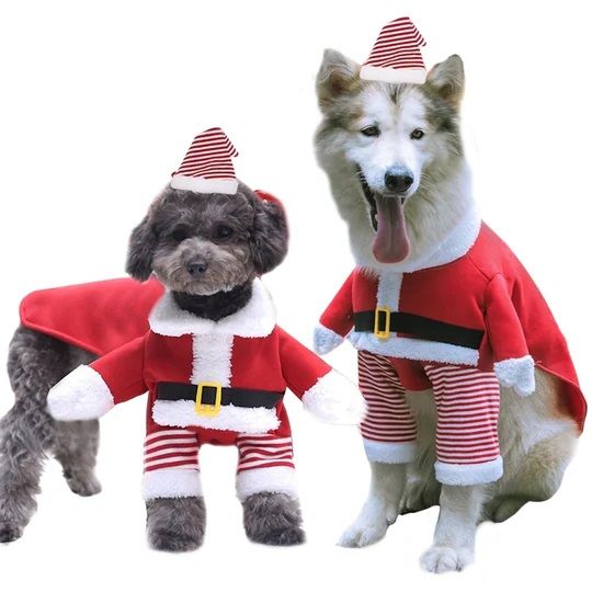 Best Christmas gifts for dogs and puppies Bow Wow Meow Pet Insurance